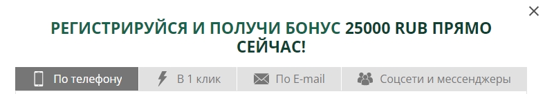3 выбор способа регистрации